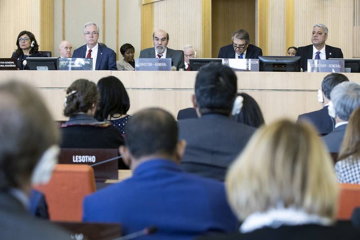 FAO_Colombia's tweet photo. "La promoción de #SistemasAlimentarios que tengan en cuenta la nutrición y la innovación en la agricultura, centrarán en los próximos 2 años el trabajo de la @FAO" @grazianodasilva, Director General en Consejo de la FAO #CL161 📰 https://t.co/gtZyyEO1D5 🌎 #HambreCero https://t.co/SCF3O4sVkP