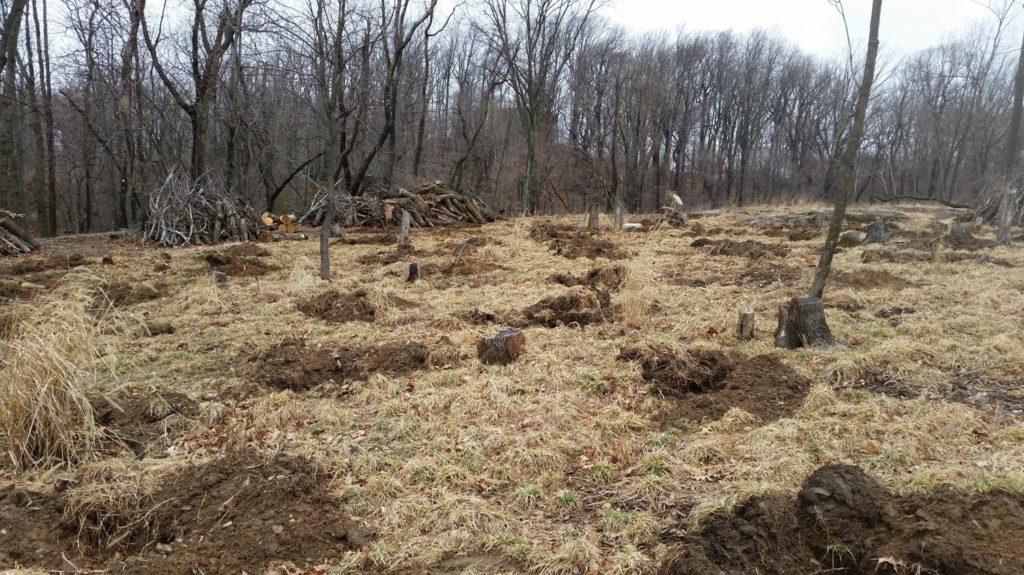 HilltopConserv1's tweet photo. The holes are dug for the trees. We need help to plant!
https://t.co/GL9rO0i6Z9 https://t.co/gIyZV6asiA
