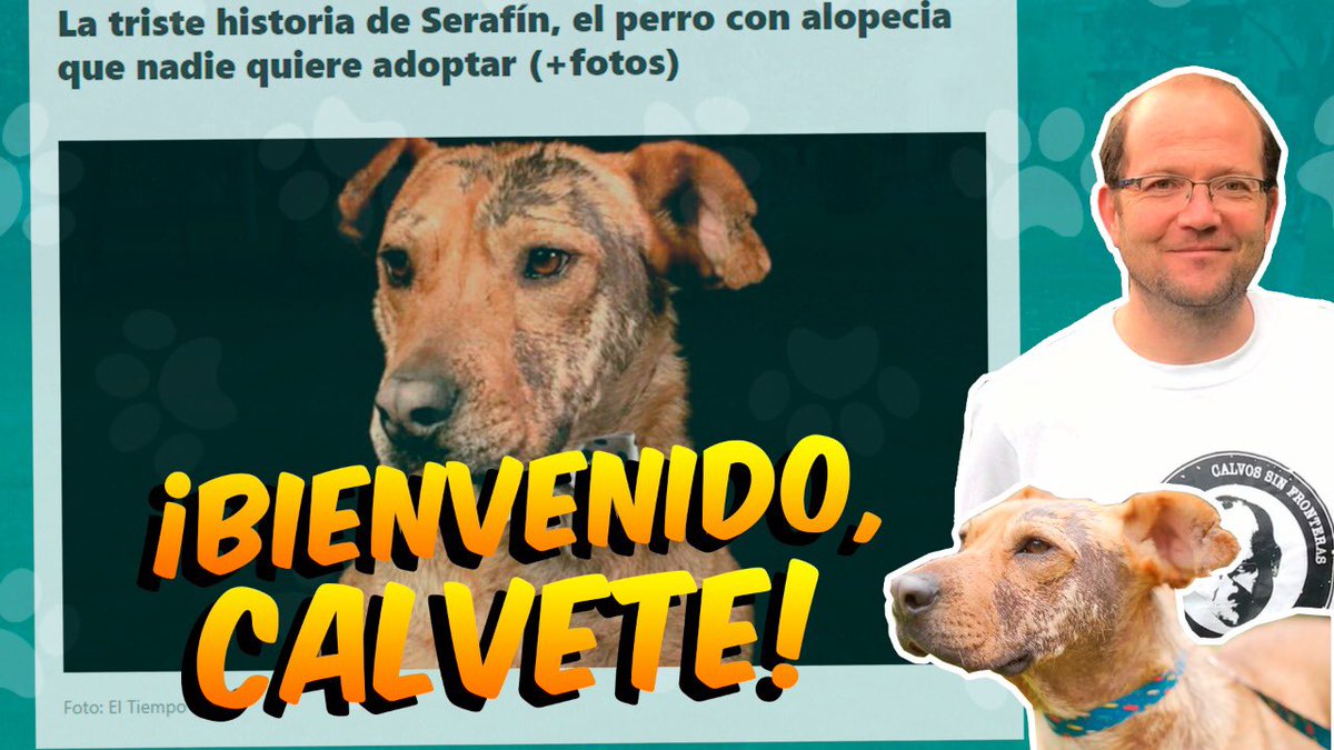 DanielSamperO's tweet photo. El video de #AdoptaAlQueNoAdoptan de #HolaSoyDanny, click acá: https://t.co/YQUFw6q72F https://t.co/Jjp6hRcUxV