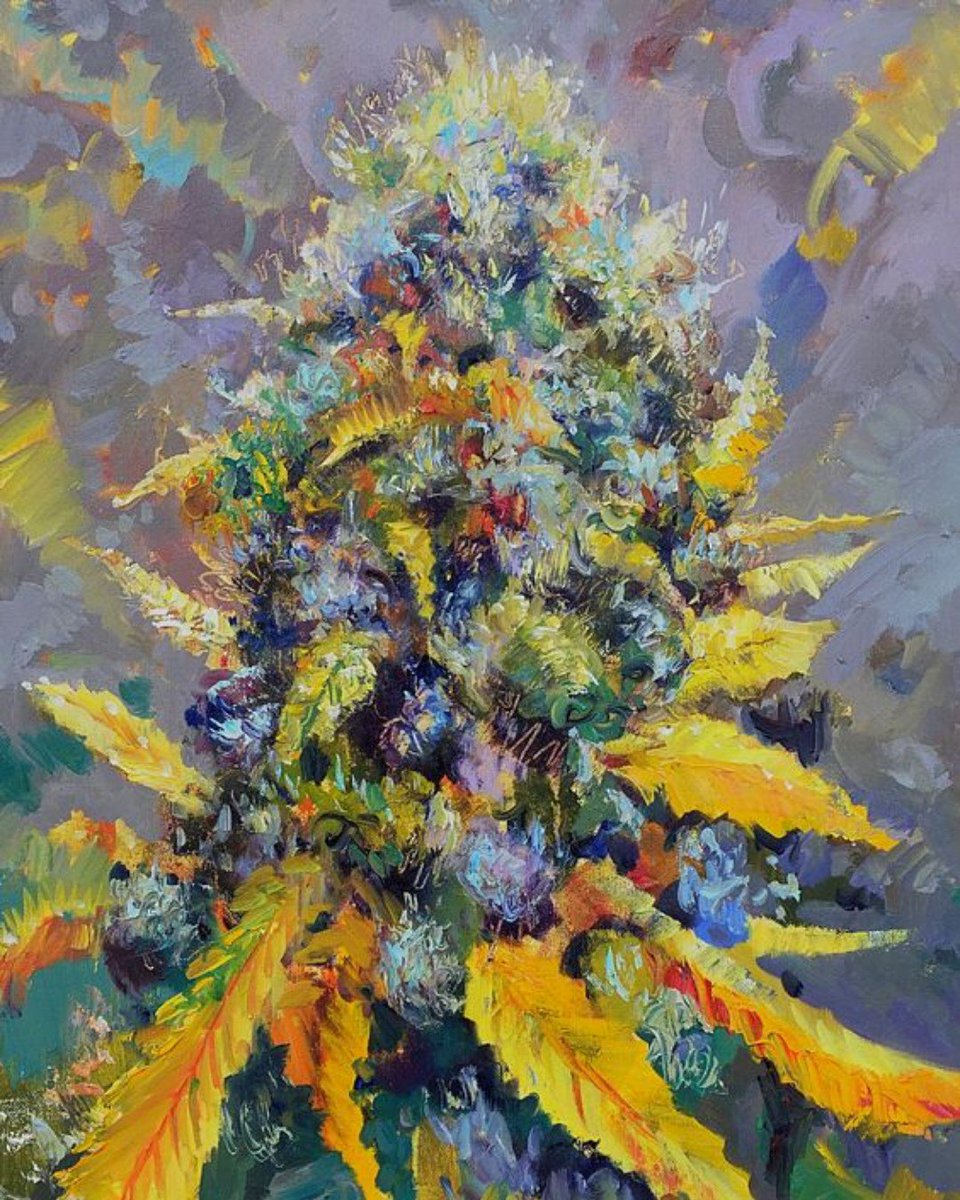 #MondayQuiz: What Strain does she look like?
