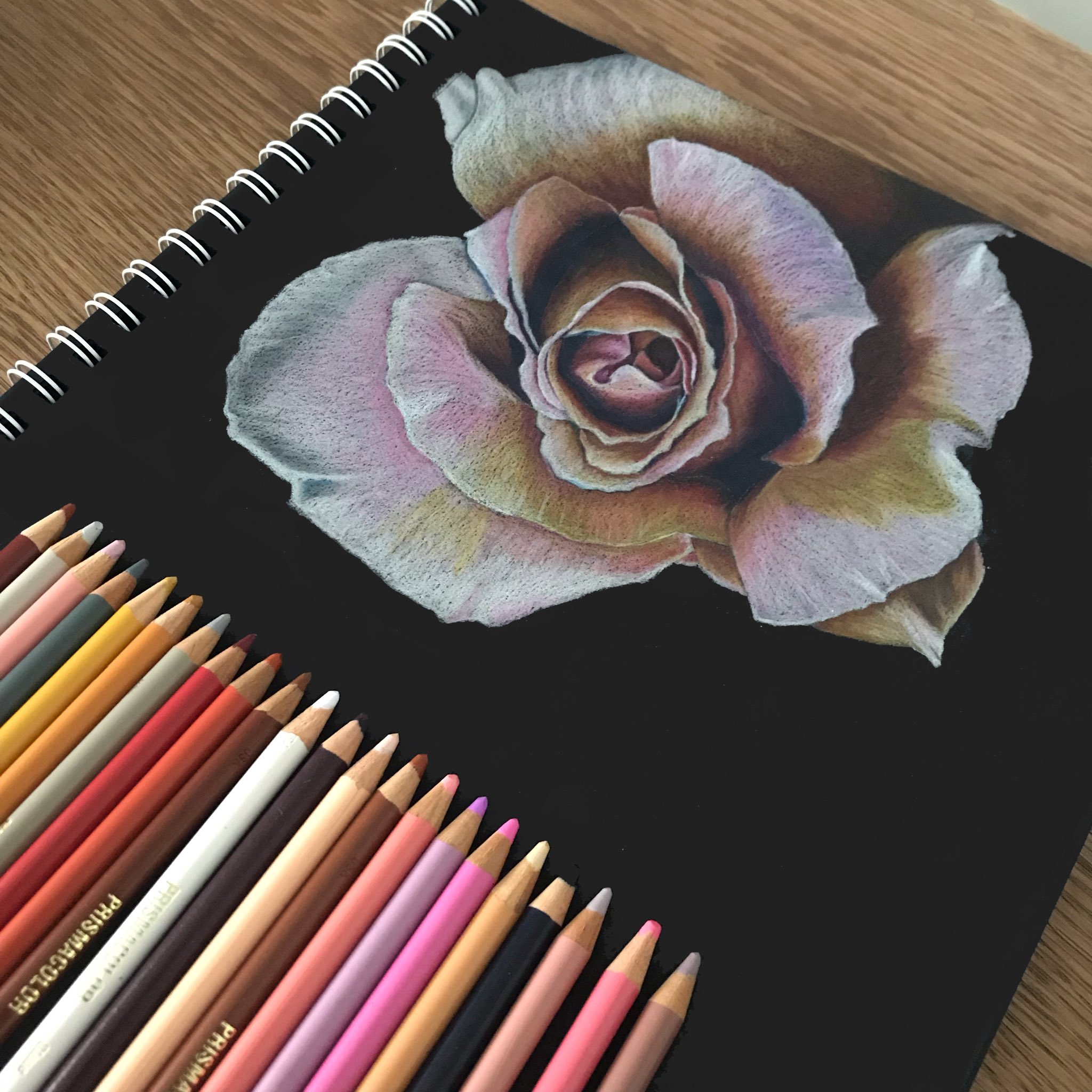 Colored Pencils on Tracing Paper- Rose 