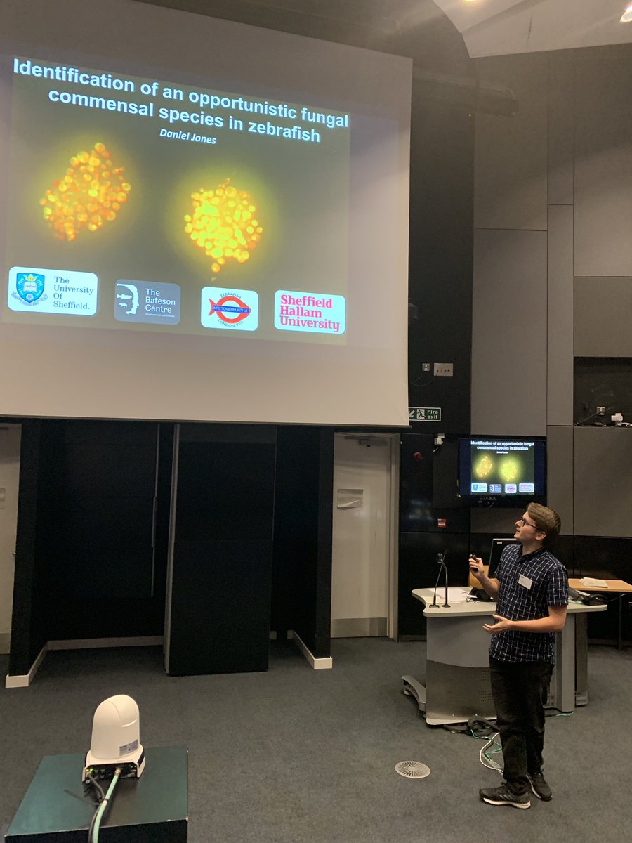 Our Sheffield Hallam undergraduate student making amazing progress with his discovery of the presence of a pathogenically active Candida Fermata species in Zebrafish  #ZebrafishUK <a href="/JohnstonLabs/">Simon Johnston</a> <a href="/BatesonCentre/">Bateson Centre</a>