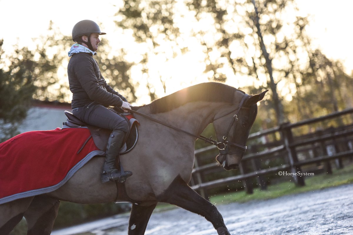 La saison SHF débute cette semaine à Bonneval 🙂 

Demoiselle d’Elle, Europe de Riverland (photo), Faraone du Gast et Favorite de Grandry sauteront les Cycles Classiques avec Julien Alexandre . 

📷 Horsesystem