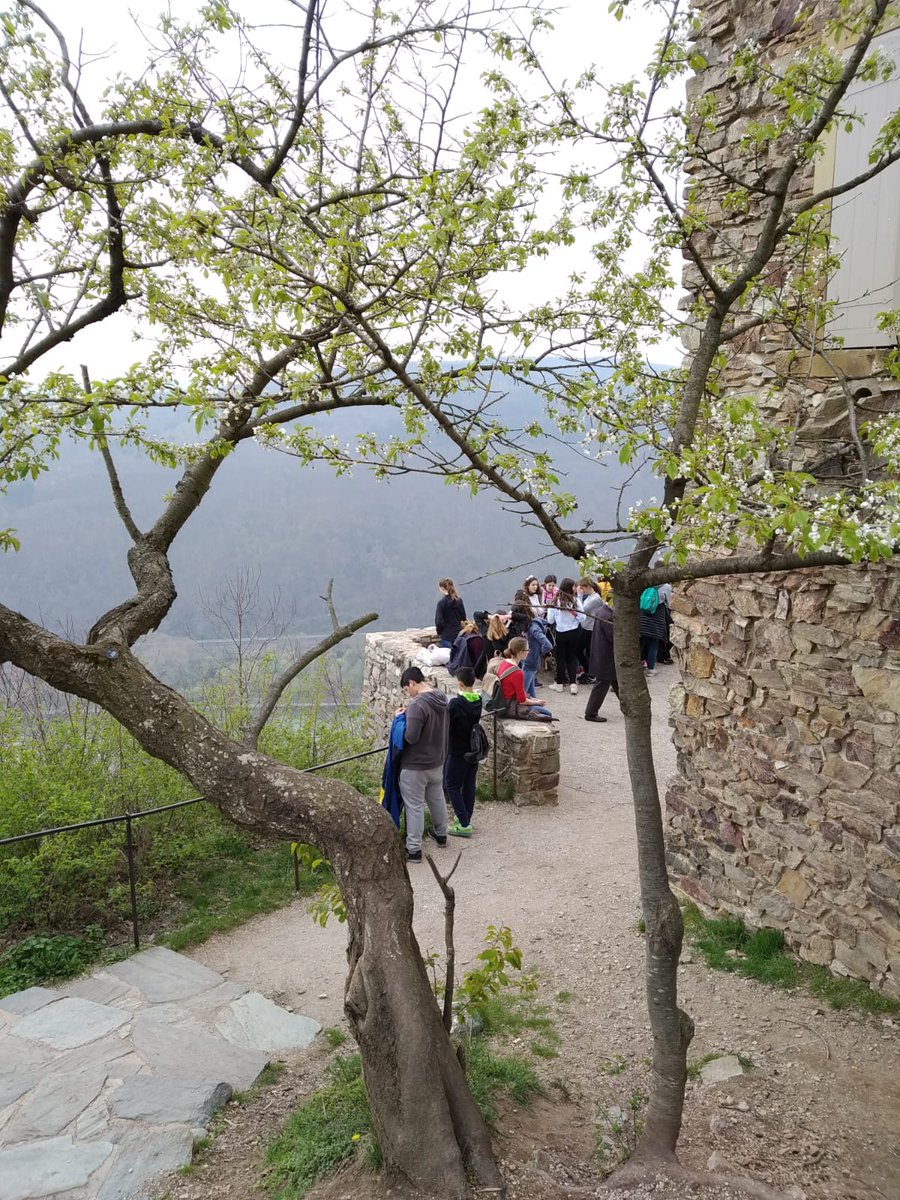 SalesianosPZB's tweet photo. Intercambio de 2° ESO… En el Valle del Rin https://t.co/GOk9a471Vp