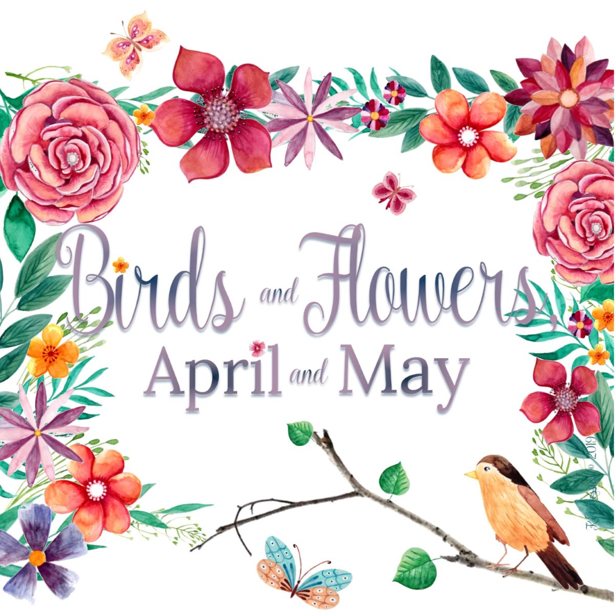 VTChoralUnion's tweet photo. The Vermont Choral Union's May 💐 2019 Concerts - https://t.co/s2y1CDGVCk https://t.co/CohkS4MLP2