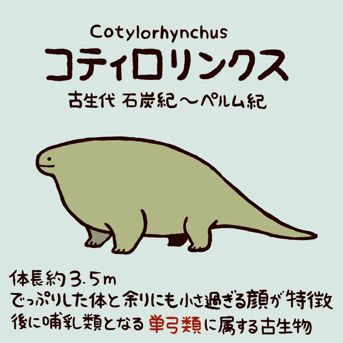 古生物調べてて一目惚れしたコティロリンクス 