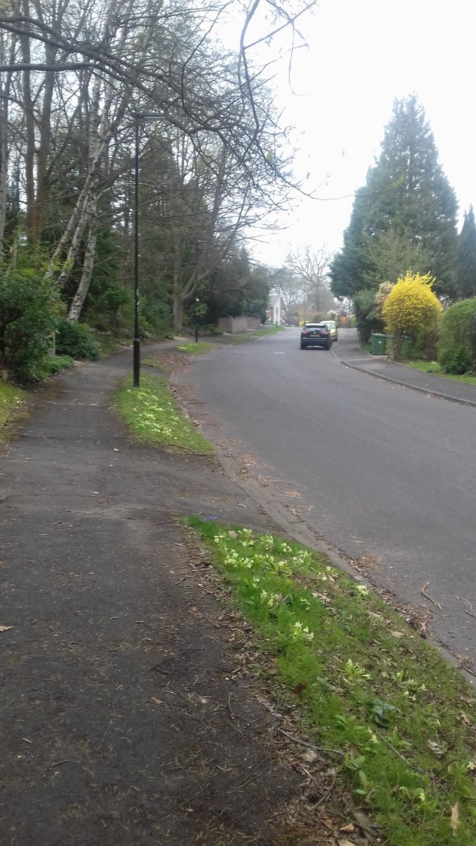kimkelly827's tweet photo. 8 mile run struggling with a #cold #badchest need to get into the double miles now. #Hills #spring https://t.co/RM1nEwFPt9