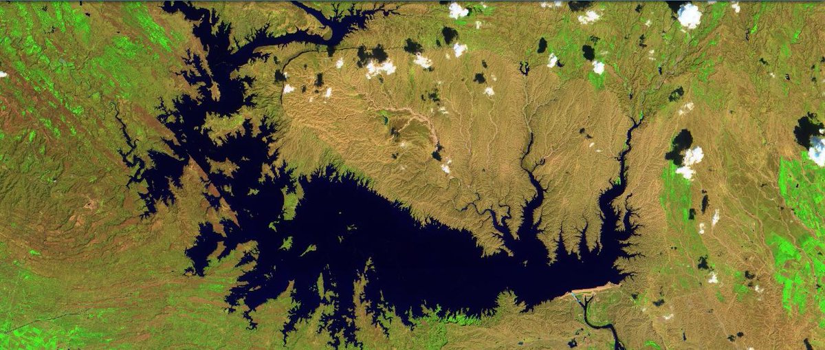 نافذةُ على الأخبارِِ tweet media