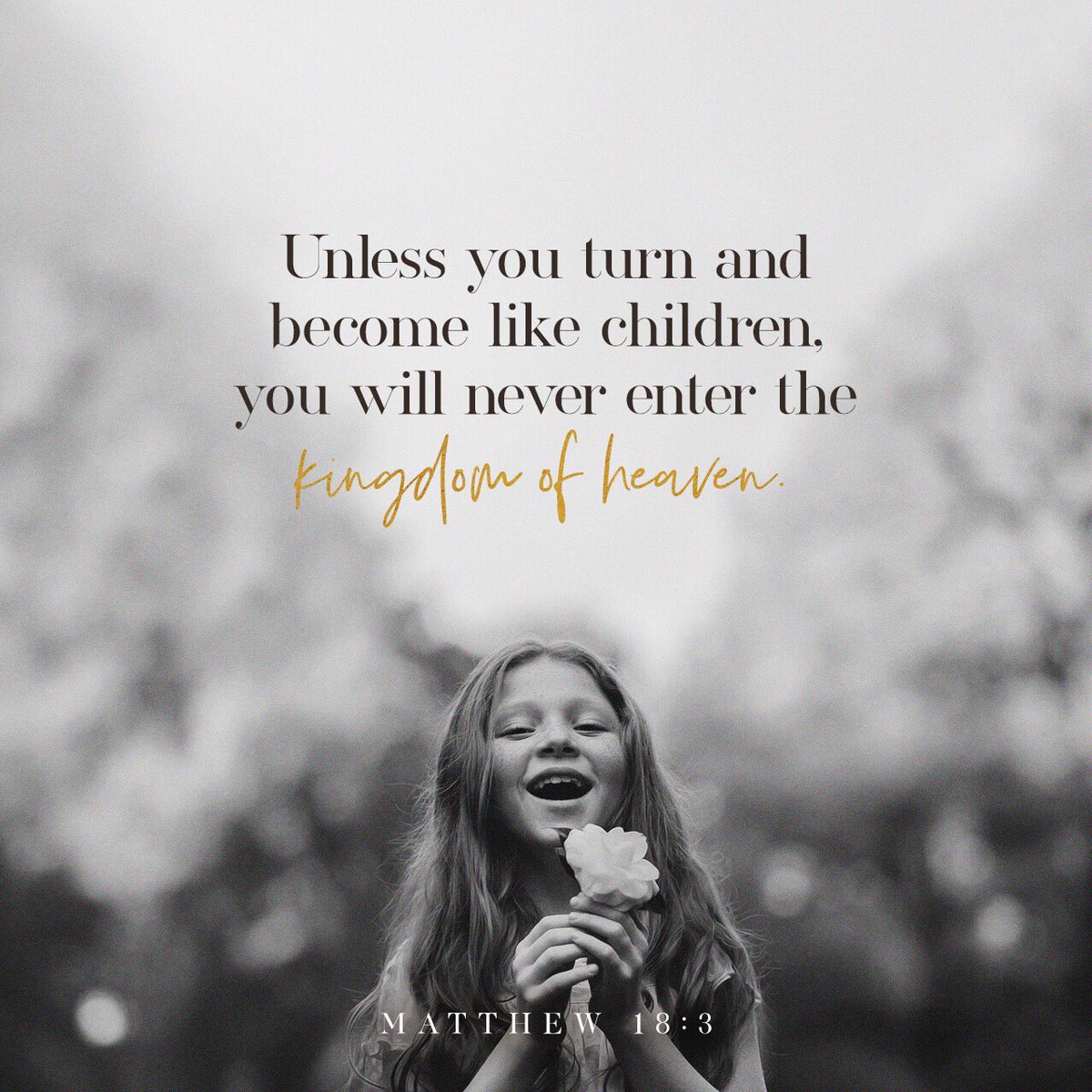 Norman Booker (@mhstiger) on Twitter photo 