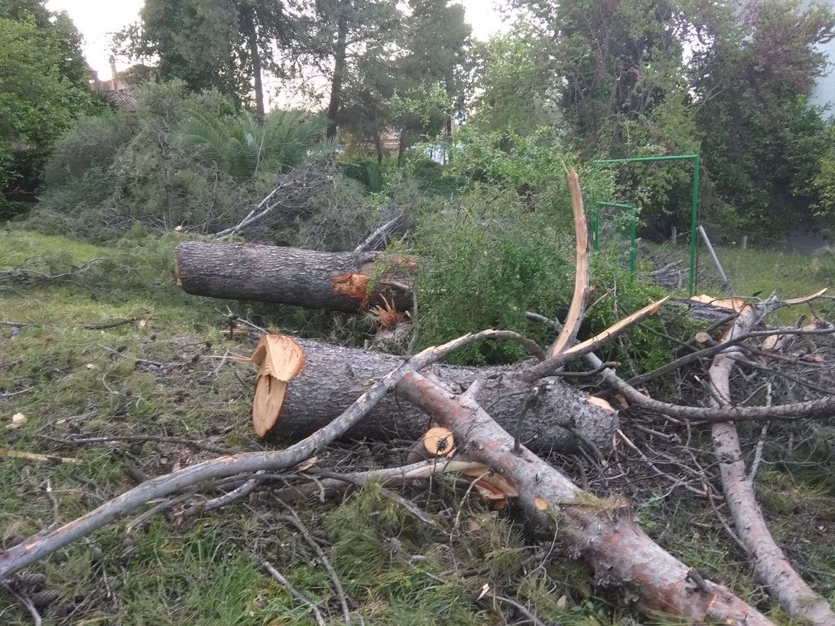 SOSterritorios's tweet photo. ⚔️🌳Las talas de unos 200 ÁRBOLES en terrenos propiedad de @emasesa, en El Carambolo, debería ir acompañada de su justificación y fundamentación, de las fichas de solicitud de apeos, y saber cuándo y cómo será compensado ecológicamente con nuevas plantaciones y reforestaciones🌿 https://t.co/oAgMs5JZXK