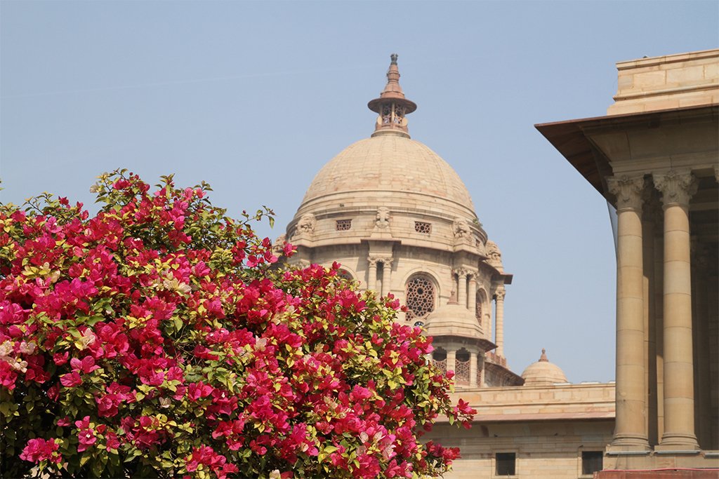 Discover the wonder's Delhi has to offer with our latest blog post! ✨
Read here: bit.ly/2Umra9j