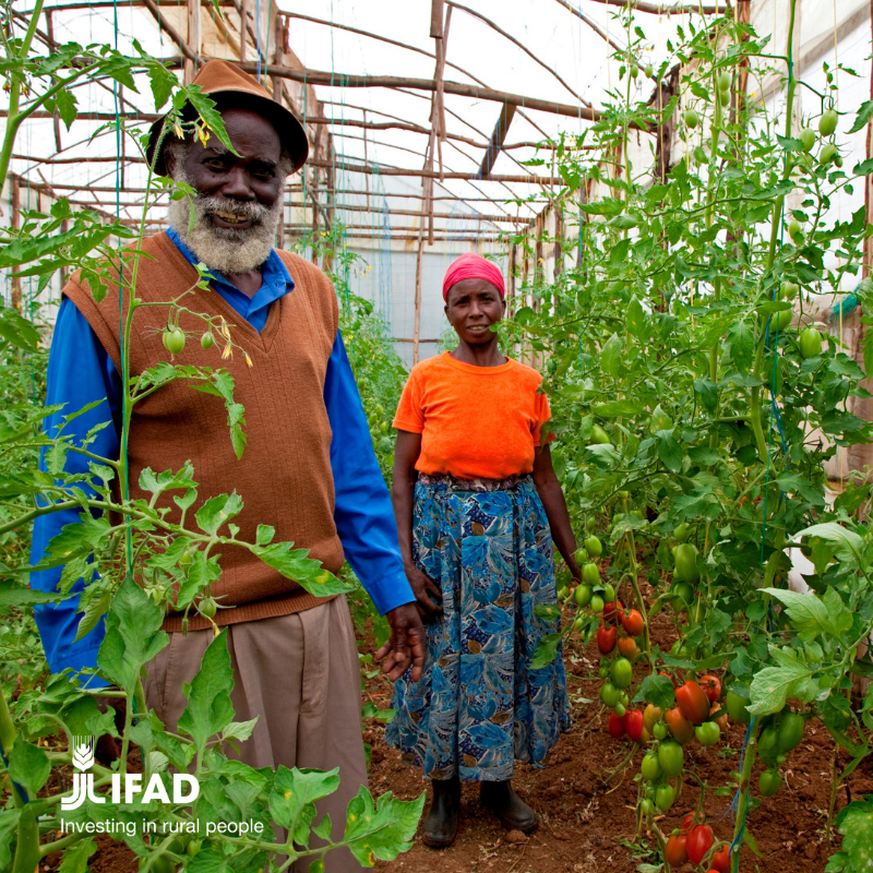 IFAD's tweet photo. Rural people are business operators who know what they need to succeed: 

⚖secure land tenure
📈access to markets
💰capital
📔knowledge
💦clean water
🚚reliable roads and transportation
💻tools and technology
🌿seeds and fertilizer
🗨good governance

#investinruralpeople https://t.co/NFfLpy3bFY