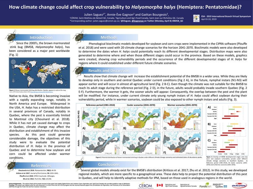 JSaguez's tweet photo. #ibranch19 Join @Gagnonae and me to discuss about our ePoster on #climatechange #plant #vulnerability #insect Brown marmorated stink bug (#BMSB) in Quebec (#BMSB_QC). Visit the other eposters and view the plenary presentations by E. Backus, P-A Calatayud (@ird_fr) and @u_cjeffrey https://t.co/aSJmDGHvgT