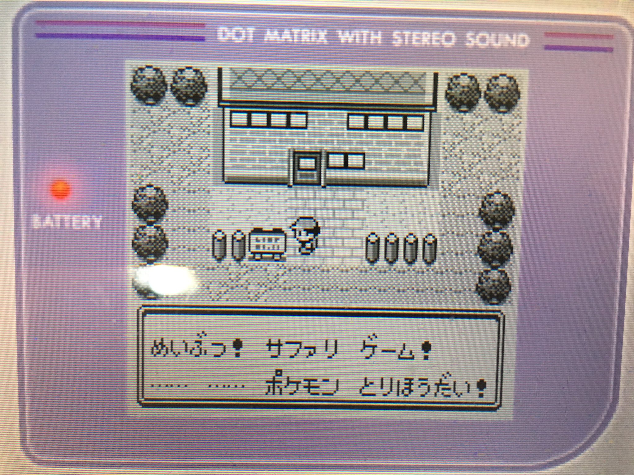 瀬文やつむ 初代ポケモン赤 ただいま華やかなセキチクシティでサファリゾーン に夢中 冒険用メンバーを集めることが目的であるものの バトルせずにポケモンを手軽にゲットできるためメンバー以外のポケモンをゲットして図鑑もそれなりに埋まる しかし