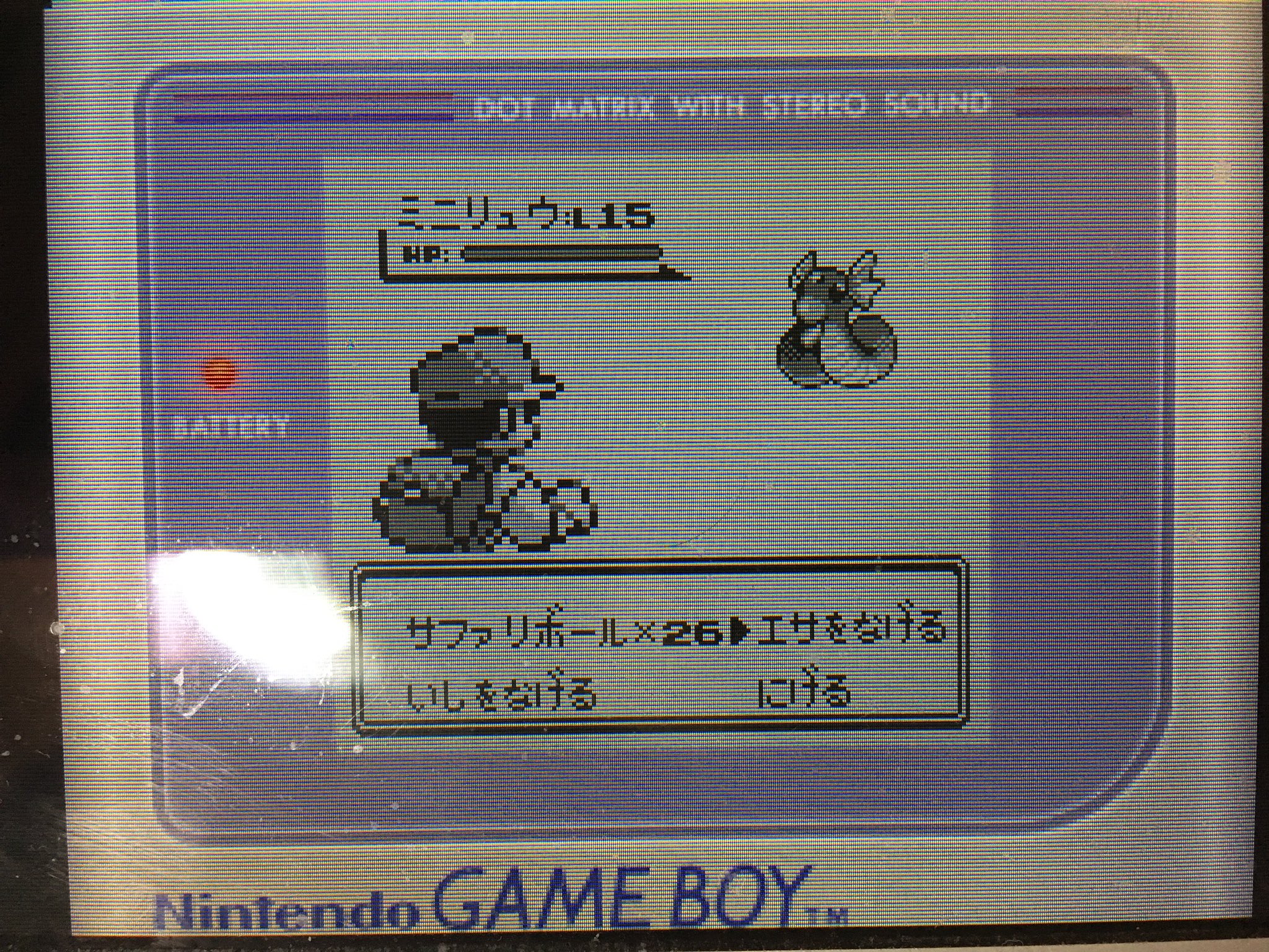 瀬文やつむ 初代ポケモン赤 ただいま華やかなセキチクシティでサファリゾーン に夢中 冒険用メンバーを集めることが目的であるものの バトルせずにポケモンを手軽にゲットできるためメンバー以外のポケモンをゲットして図鑑もそれなりに埋まる しかし