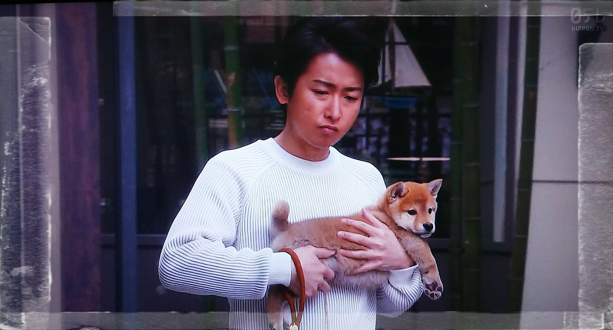 Nanko Ai 今日4 8日は 柴犬の日 でもあるんだね ということで ごすけ 五助 大きくなっただろうなぁ ー 大野智 セカムズ 世界一難しい恋 Nanko Ai 今日4 8日は 柴犬の日 でもあるんだね ということで ごすけ 五助 大きくなっただろうなぁ ー 大野智 セカムズ 世界一難しい恋
