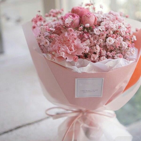 Look at this handsome baby, I feel blessed with the appearance of our little heart. Thank you for giving me so much happiness, I love you both so much!

<a href="/DustyRosse/">𝑴𝒊𝒉𝒐 𝑺𝒆𝒊𝒗𝒂𝒍𝒕𝒆𝒓</a>