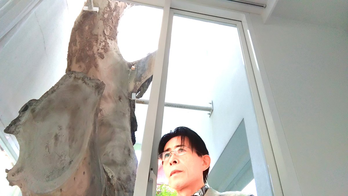 Susumu Hirasawa tweet media