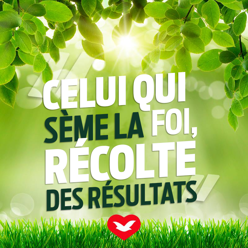 CdAUFrance's tweet photo. Celui qui sème la foi récolte des résultats!
Vous croyez?
#Foi #Résultats 
https://t.co/4HfWOMwoVL https://t.co/LUBNBttlrn