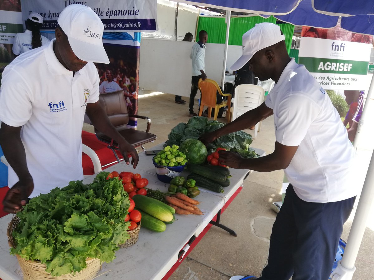 fnfi_togo's tweet photo. Partis du crédit AGRISEF du @fnfi_togo, messieurs Edjarewou Abalo et Badjaliwa Kossi commercialisent des choux, des tomates, des carottes, des concombres. Ils sont présents ce jour à notre stand à la foire agricole du #FNPT https://t.co/NBaYRNlGJY