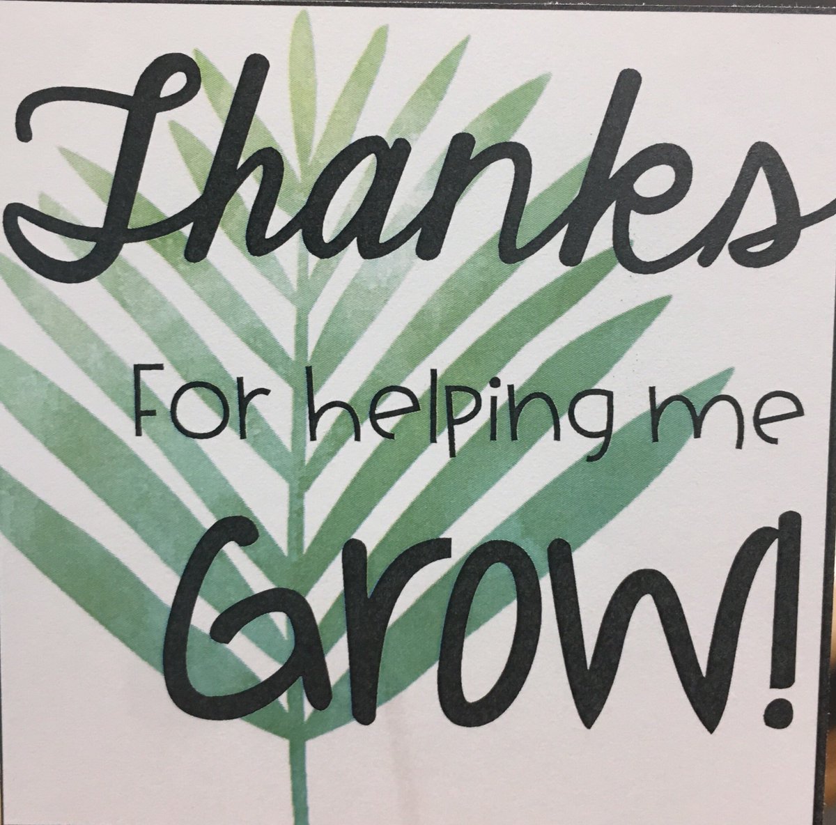 Volunteers we appreciate you! Thanks so much for all that you do to help our kiddos at <a href="/SLCSBrummer/">Brummer Elementary</a> GROW! As you come into the building this week, please take a succulent as our thanks and gratitude. 🌵🌸 😊