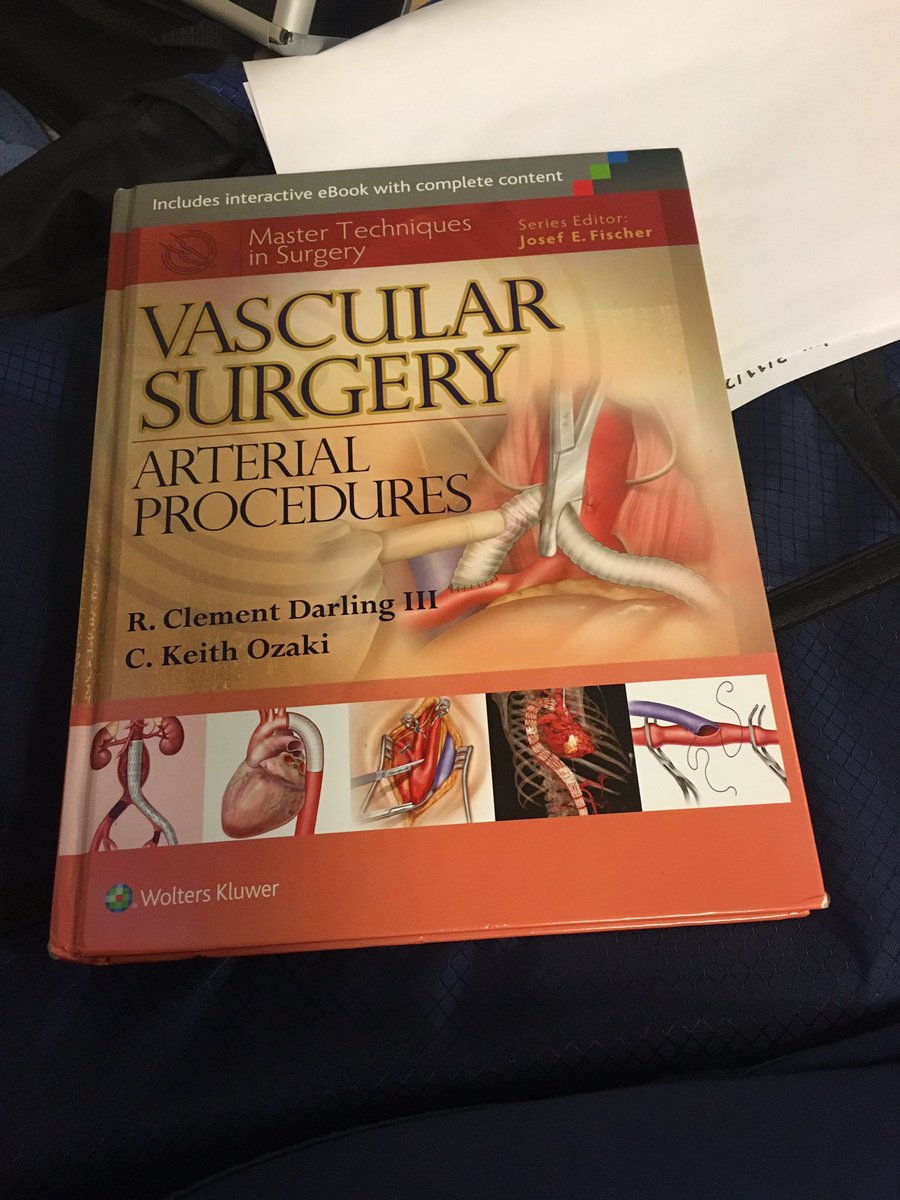 Stefanie Rockwood tweet media