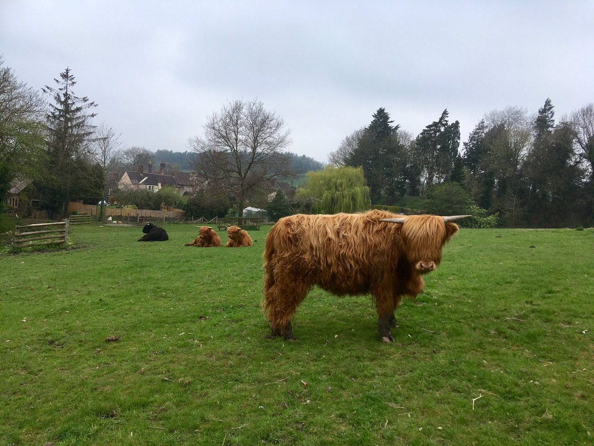 woollyvix's tweet photo. Hanging out in Much Wenlock! https://t.co/Wxkvoq0TdZ