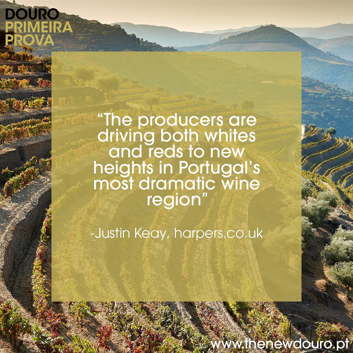 thenewdouro's tweet photo. The Douro Primeira Prova (3–5 June 2019, #Régua) is the first joint-release tasting in the #Douro. 150 new releases of the twenty-six leading wine estates will be presented at the silent tasting. Book your seat now: https://t.co/OcWMTVq09h
#douroprimeiraprova19 #thenewdouro #port https://t.co/SJ1UASJJ44