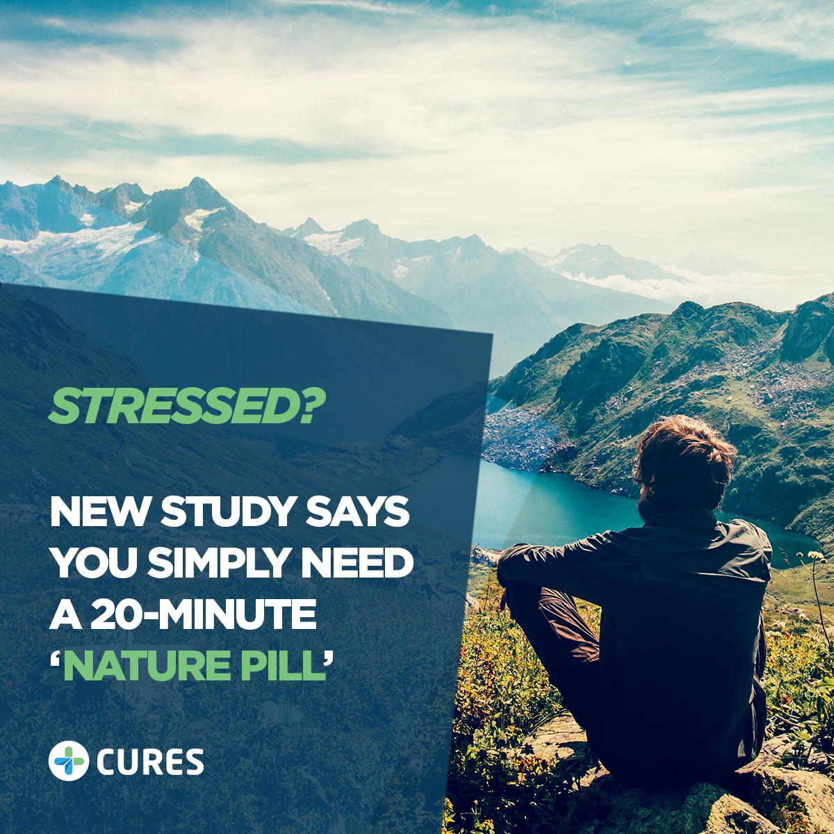 🚀 CURES is bringing global healthcare to a new level - increasing quality, accessibility and security. Learn more and become an early contributor:
👉 bit.ly/2MLNVwe

#globalhealth #publichealth #digitalhealth #ehealth #mhealth #investing #blockchain #decentralization