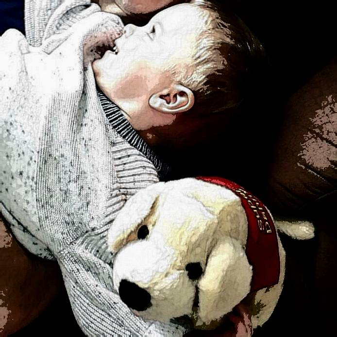 MaryRuthBooks's tweet photo. According to his mom, Dylan is a big fan of MaryRuth Books. "Get Down Danny provided many giggles." #getdowndanny #superdanny #superdylan #whywedowhatwedo #dannysmiles #maryruthbooks https://t.co/5L0Tg3rl89