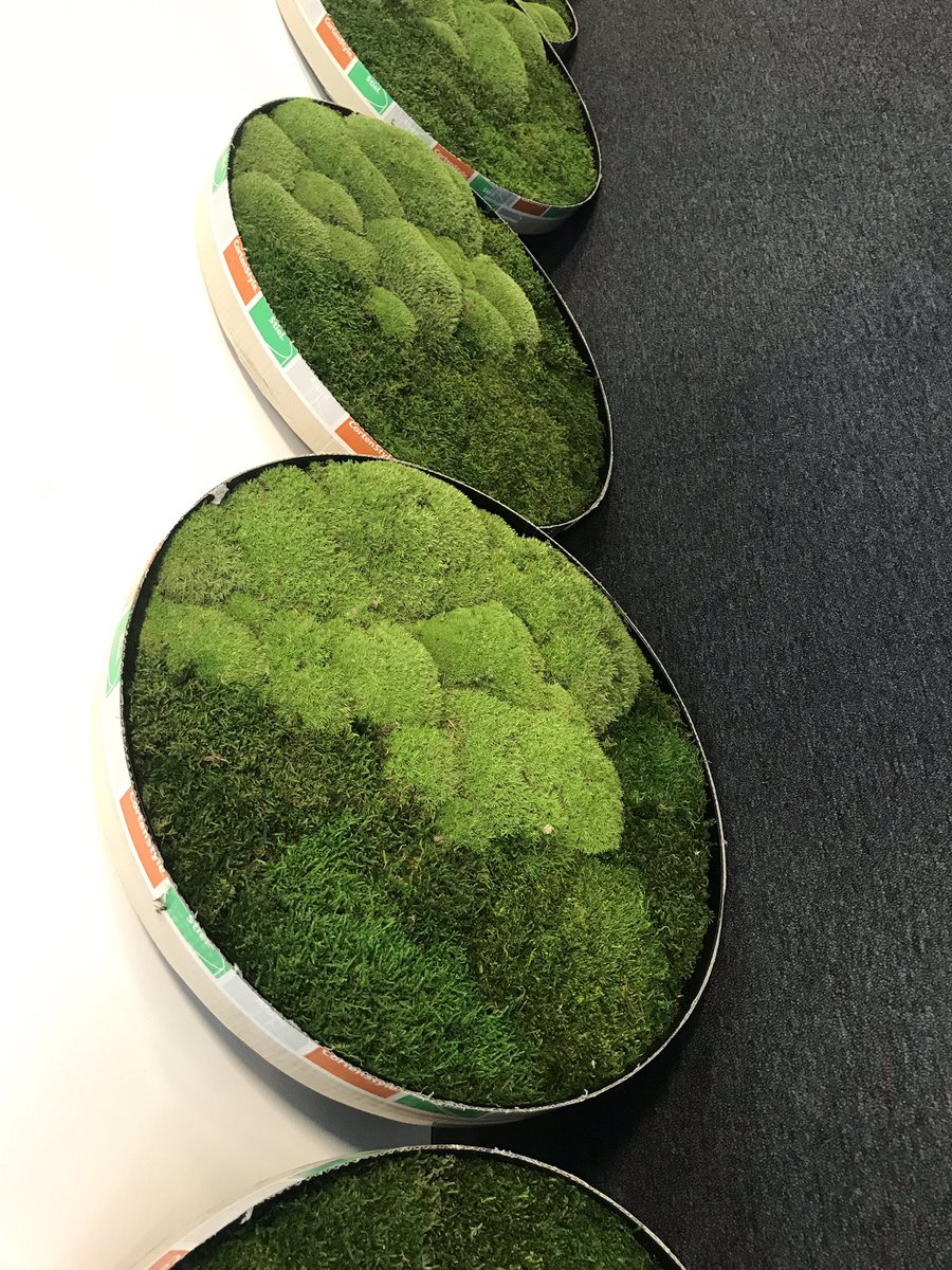 Eeeeek super excited, my new moss installations have arrived at Jagex HQ. Can’t wait to get these up on the walls #moss #jagex #installation #new #green #makingabrighteroffice