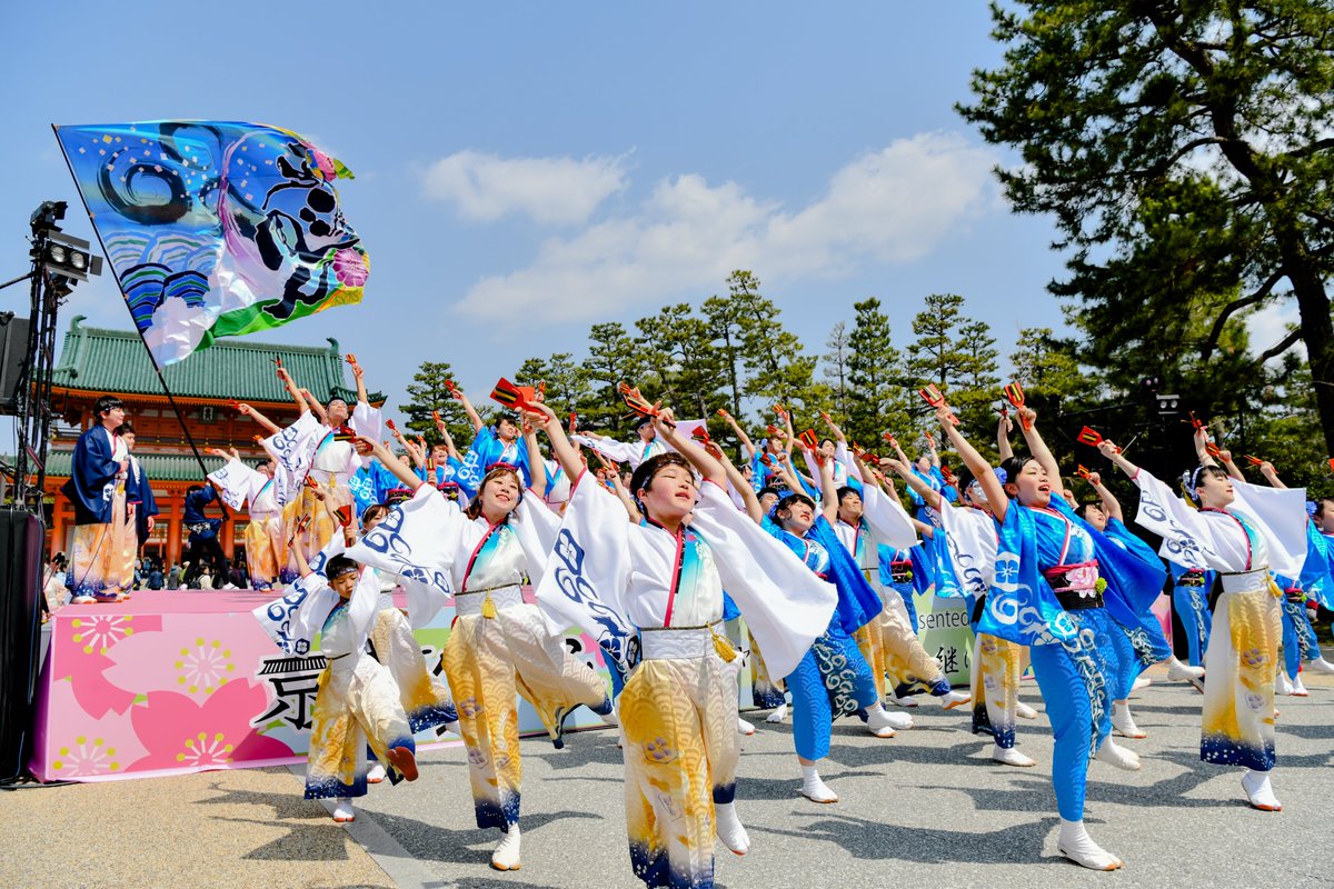 京都さくらよさこい 京都さくらよさこい