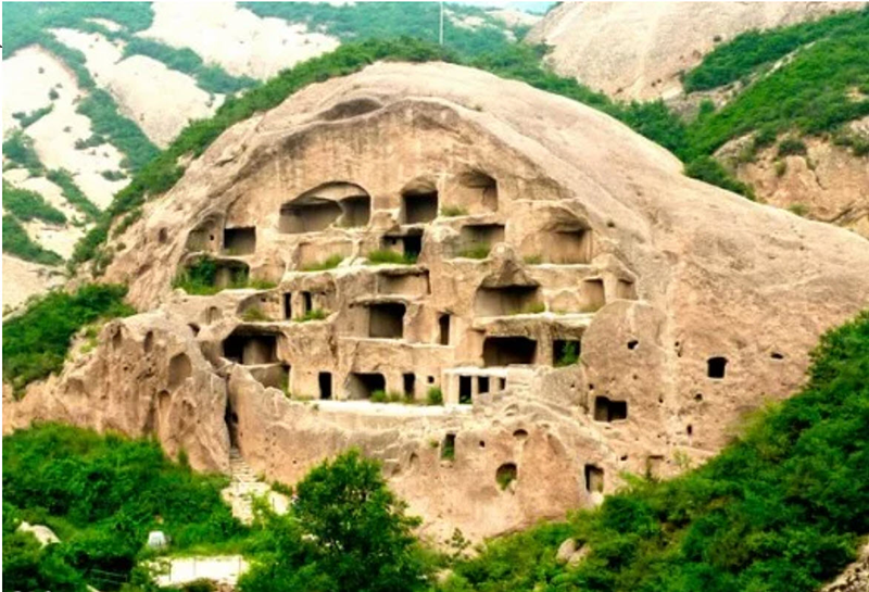 Liz Barney tweet media