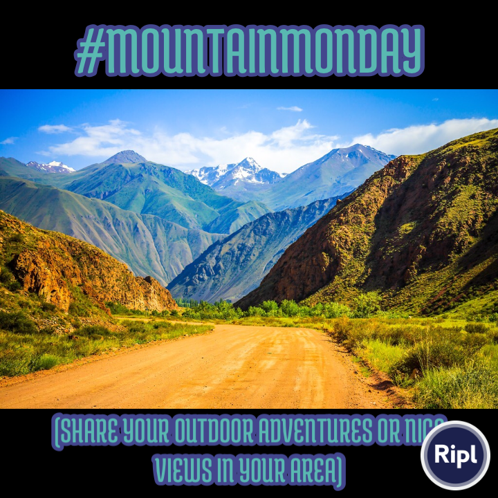 MundellLisa's tweet photo. #MountainMonday via https://t.co/o75rfZakEz https://t.co/fTCmjlxBb1