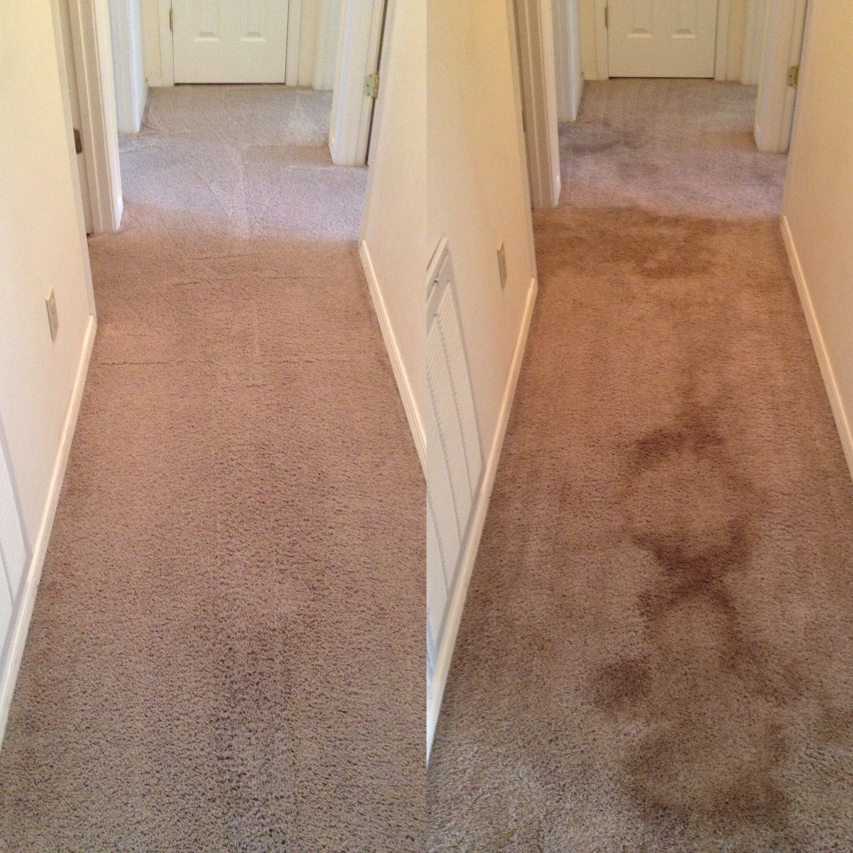 Have you already started your spring cleaning? Don’t forget your carpet and furniture! CitruSolution Floor &amp; Upholstery Cleaning does a simply fantastic job, and leaves your carpet smelling great! 

facebook.com/WilmingtonCarp…