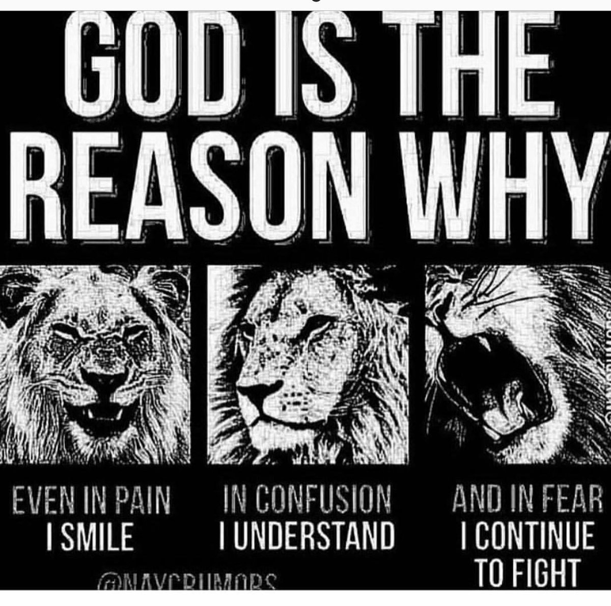 RichardWansley2's tweet photo. #trustinGod #withGodnothingisimpossible #faith #Hispeace #nofear #Hefightsourbattles #leanintoHim https://t.co/trJCNI1EXZ