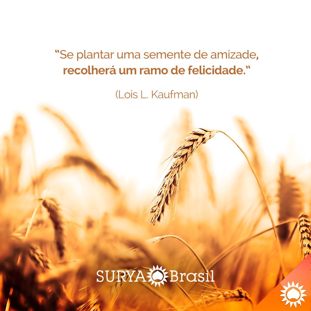Bom dia! Que você colha muitos frutos nesta semana. 
#suryabrasilvegan #suryabrasil #crueltyfree #leappingbunny #cosmeticovegano #cosmeticvegan #produtosnaturais #natureza #cosmeticoorganico #cosmeticorganic #organic #vegan #nature #beleza
#beauty