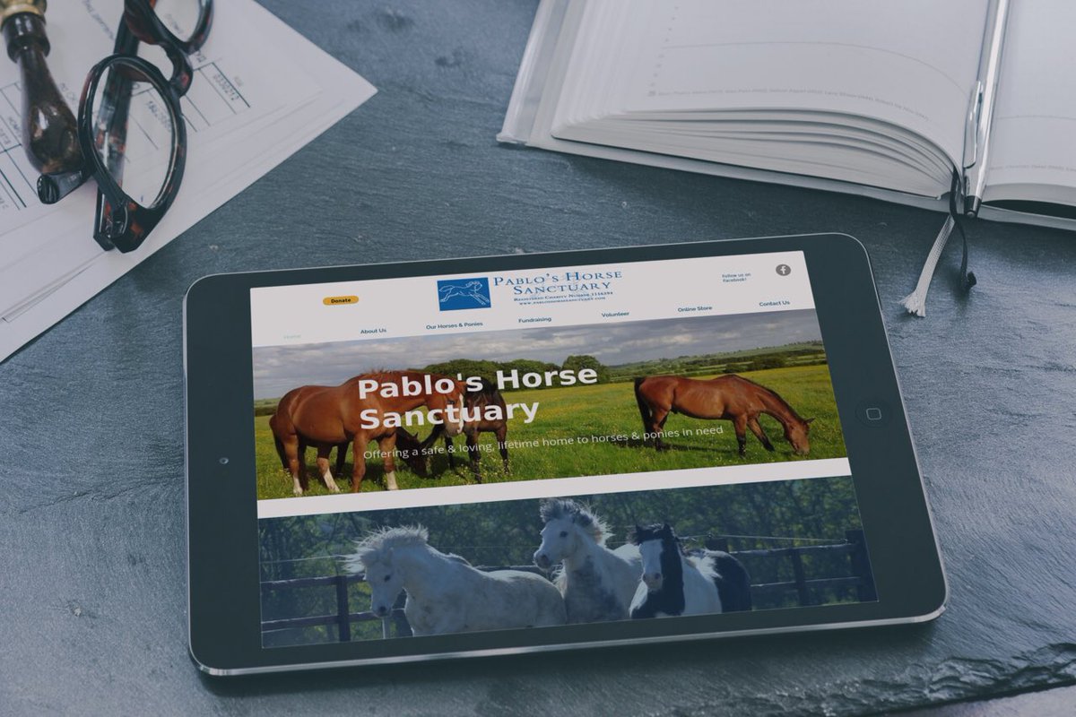 **NEW LAUNCH ALERT**

So pleased to announce that my latest project for Pablo's Horse Sanctuary is now LIVE. The completely new web presence, includes vital functionality such as ability to receive donations online via PayPal &amp; an online store. pabloshorsesanctuary.com