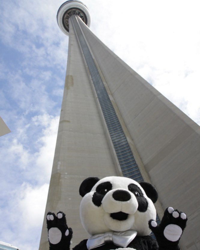 Join us this coming weekend as we cheer on the WWF CN Tower Climb participants! These amazing individuals are taking 1,776 steps towards a future where Canada’s wildlife and nature can thrive! #NationalWildlifeWeek #DoMoreForWildlife 📷mathew_powers/IG