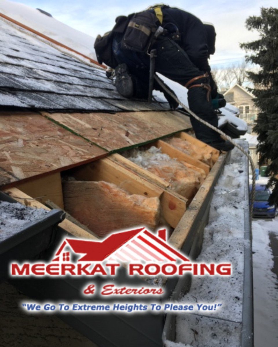 MeerkatRoofs's tweet photo. Replacing the rotten roof decking (plywood) on the eaves is part of what we do every day, if it is required. #goingtheextramile #wemakeitright #prideinworkmanship #excellenceinservice #goingtoextremeheights #CalgarysTopchoice #BBB 
#customersatisfaction #financingavailable https://t.co/RjxtV6HG8U