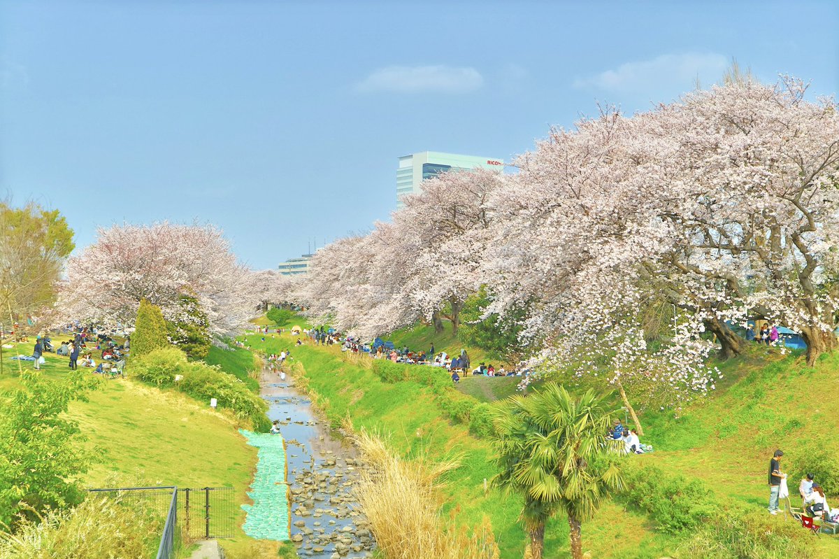 海老名三川公園