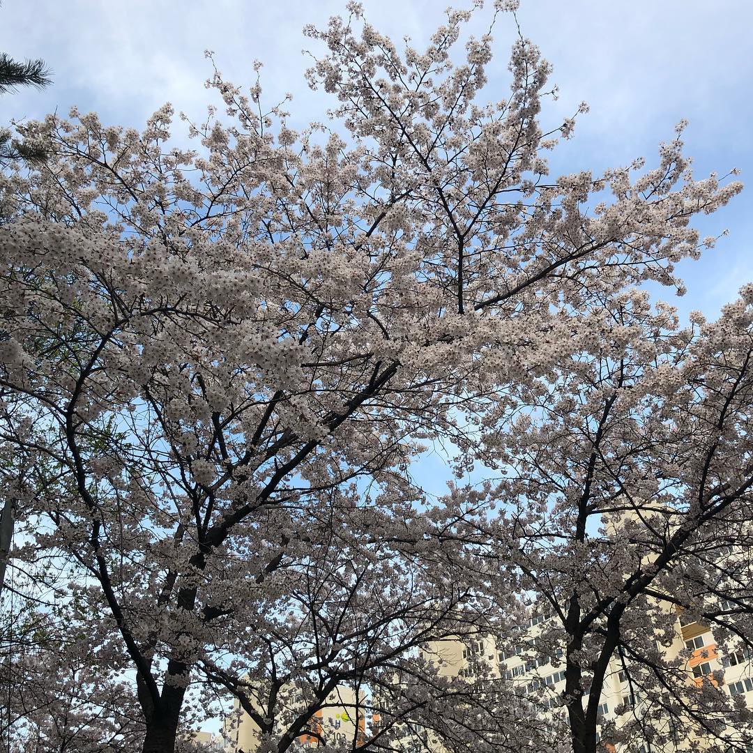 JungdoTH's tweet photo. 190408 IG https://t.co/YC6vJK2aAW