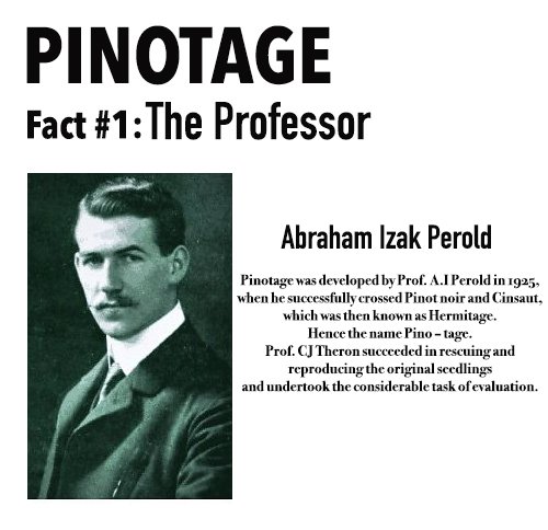 DoranVineyards's tweet photo. @PinoBiltongFest is around the corner and to help you be a Pinotage pro we will be sharing with you Pinotage facts as we count down the days to one of our favourite Festivals @PerdebergWinery 🍷#Pinotage #PinotagePro https://t.co/oTOOHJ4DlM