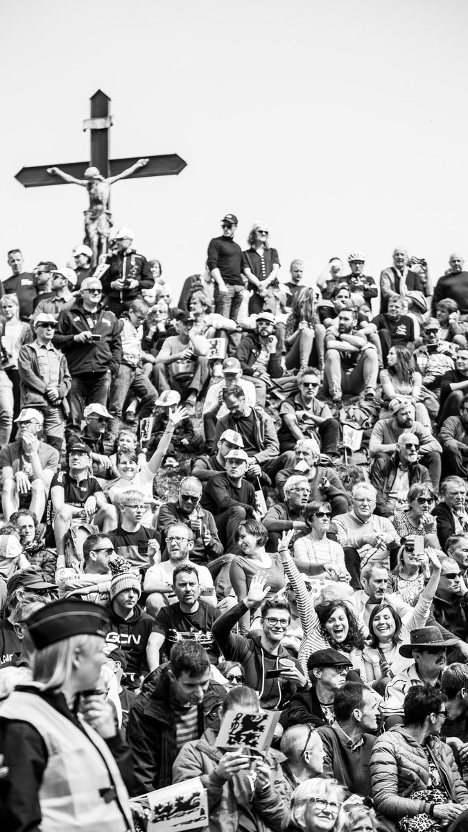 Léon van Bon tweet media