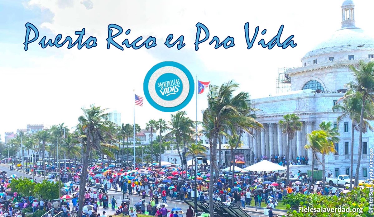 fielesalaverdad's tweet photo. Sen.@trschatz51: continúe sus esfuerzos para irse por encima del veto del gobernador sobre el constitucional #PS950. #PuertoRicoEsProVida #ProLifePR @SenadoPR @Miguel_Romero_ @LaureanoSenador @Carmelorios @MargaritaNolasc @neumannsj @LarrySeilhamer @luisberdiel51 @chinoroque51 https://t.co/NKGJfgXZTW