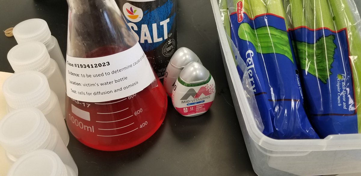 Murder Mystery Part II: determining cause of death of our victim. Ss already narrowed down suspects by analyzing the macromolecues found in the victim's last meal. On to concentrations, diffusion, osmosis and cell environment.  <a href="/DASD_LMS/">Lionville Middle School</a>