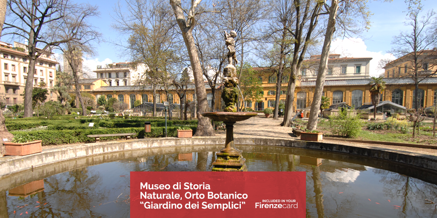 Firenzecard (@firenzecard) on Twitter photo Created in 1545 by the Medicis as a garden of medicinal plants, the <a href="/StoriaNaturale/">MuseoStoriaNaturale</a> botanical garden is one of the oldest in the world and is home to all sorts of plant and tree species. In spring, it is simply stunning. Visit it with #FirenzeCard! #Firenze #Florence Created in 1545 by the Medicis as a garden of medicinal plants, the <a href="/StoriaNaturale/">MuseoStoriaNaturale</a> botanical garden is one of the oldest in the world and is home to all sorts of plant and tree species. In spring, it is simply stunning. Visit it with #FirenzeCard! #Firenze #Florence
