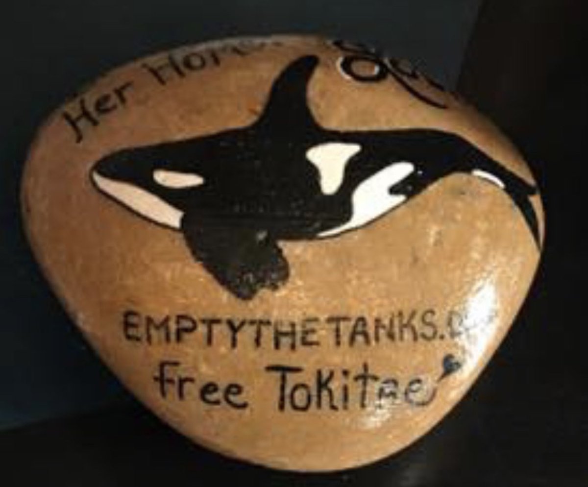 ForOrcas's tweet image. We won’t stop until she’s home! Bring Toki home to her family in the Salish Sea. Orcas don’t belong in a fish bowl! @Empty_the_Tanks #freelolita #bringtokitaehome  #CaptivityKills @orcanetwork