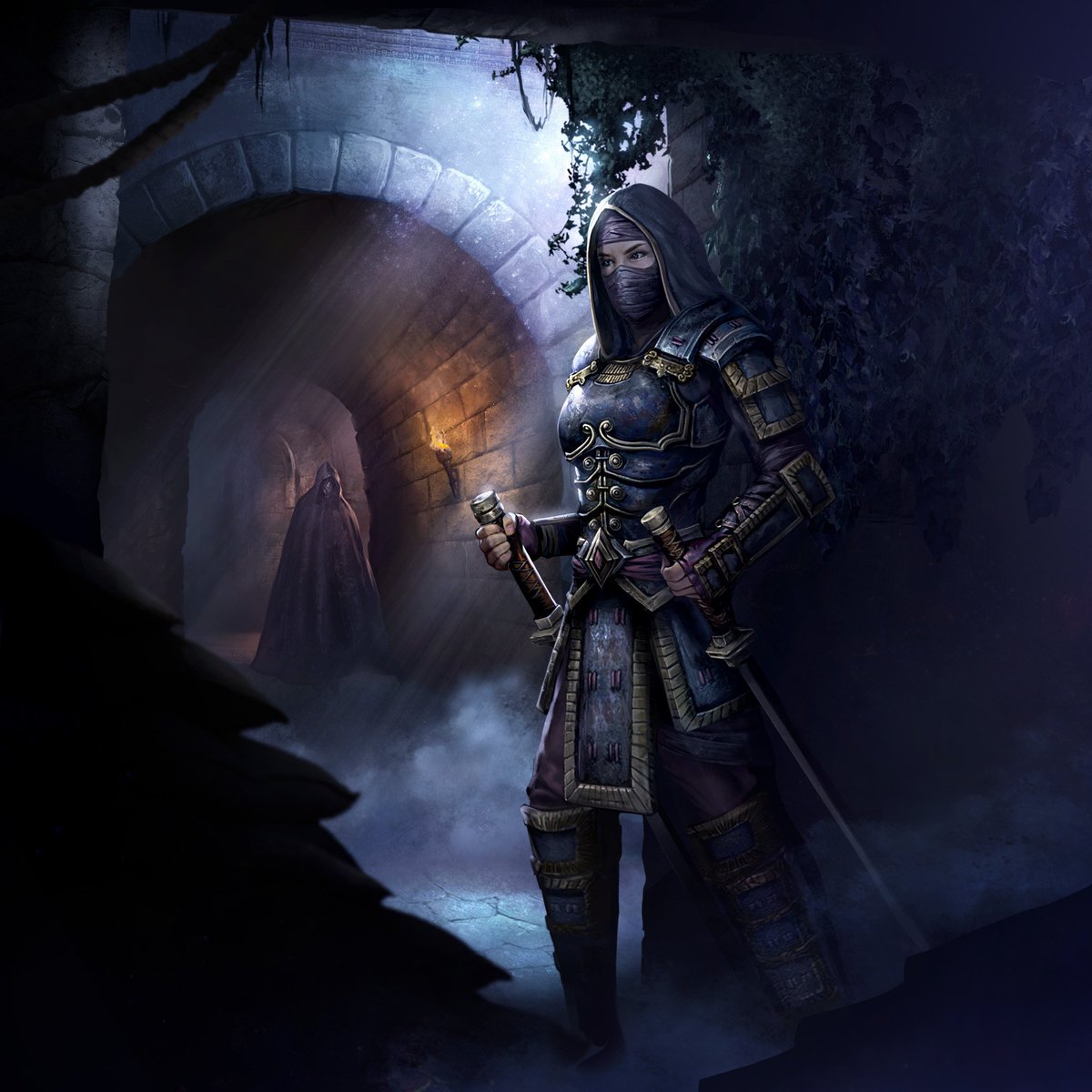 F Ranger Bounty Hunter Medium Armor Cloak Dual Swords Elder Scrolls f-ranger-bounty-hunter-medium-armor-cloak-dual-swords-elder-scrolls