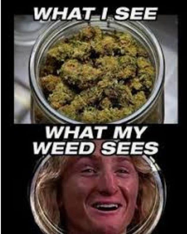social_weed's tweet photo. https://t.co/NucsqsLceZ check us out

#cannabis #cannabiscommunity #weed #marijuana #cbd #thc #weedporn #cannabisculture #weedstagram #stoner #hightimes #kush #ganja #indica #sativa #highlife #maryjane #dabs #dank #hemp #life #medicalmarijuana #highsociety #smoke #high #stoned … https://t.co/8qubd639kP